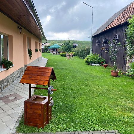 Pensiunea Denis Cîrţişoara Buitenkant foto