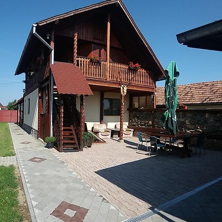 Pensiunea Denis Cîrţişoara Buitenkant foto