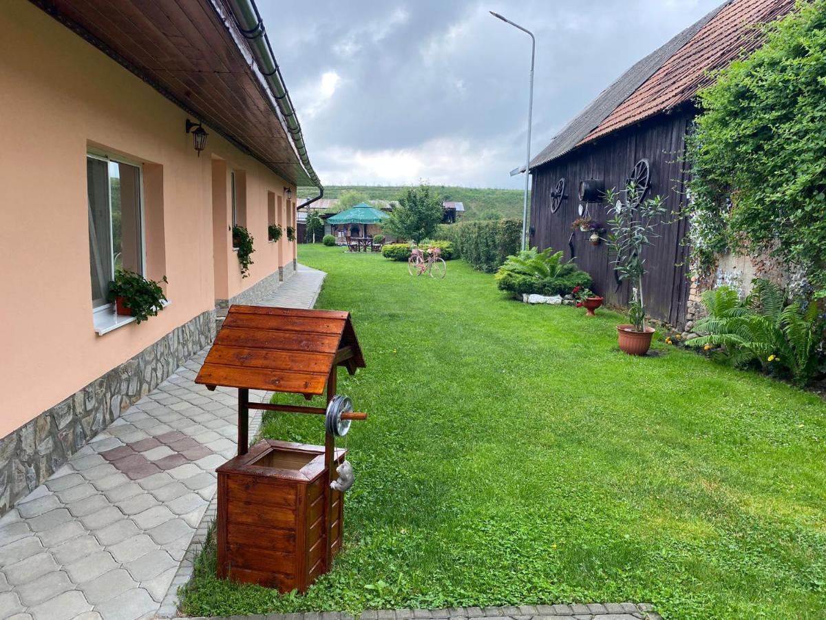 Pensiunea Denis Cîrţişoara Buitenkant foto