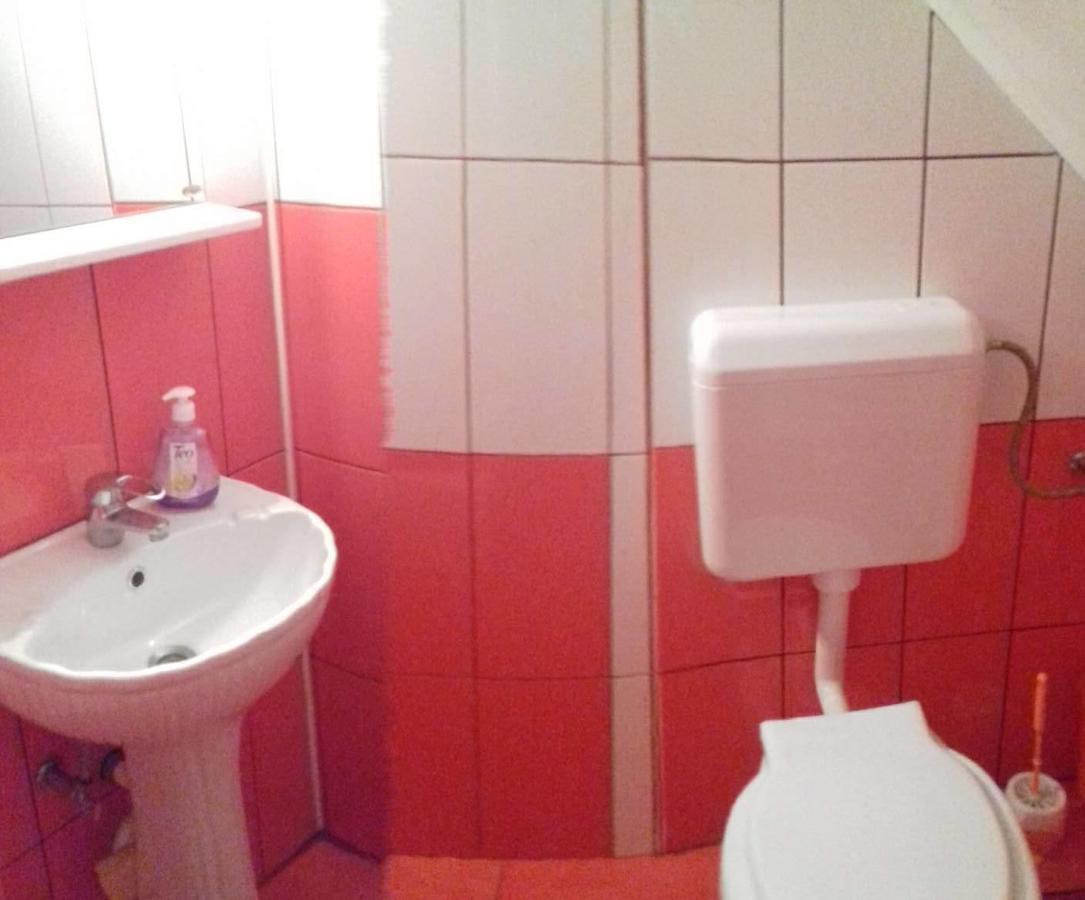 Pensiunea Denis Cîrţişoara Buitenkant foto