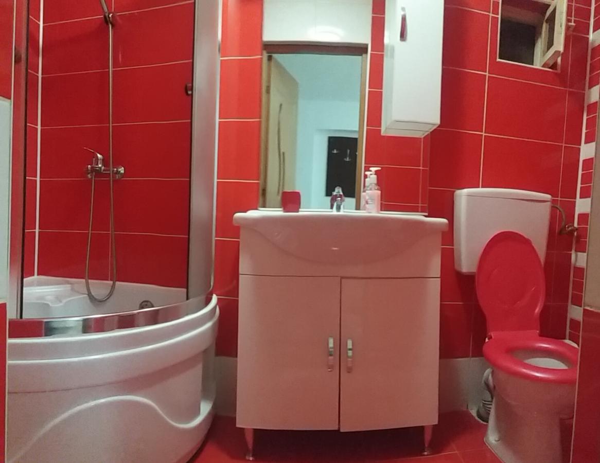 Pensiunea Denis Cîrţişoara Buitenkant foto