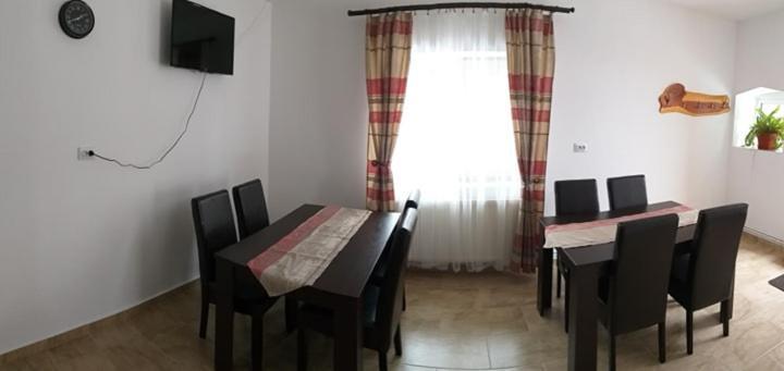 Pensiunea Denis Cîrţişoara Buitenkant foto