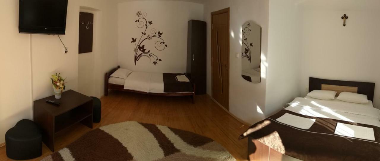 Pensiunea Denis Cîrţişoara Buitenkant foto