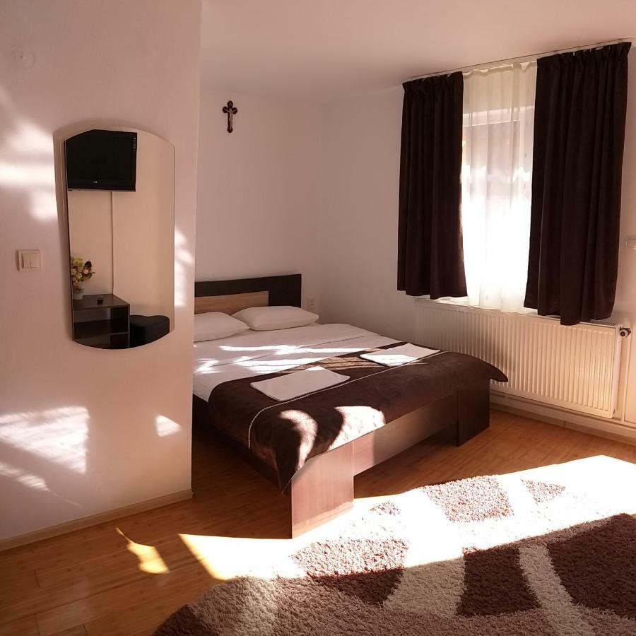Pensiunea Denis Cîrţişoara Buitenkant foto